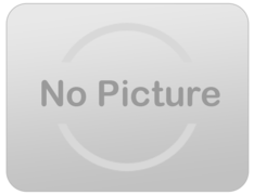 Professional Face Painting.